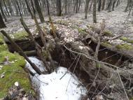 Травневе з panoramio.com