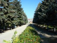 Врадіївка з panoramio.com