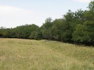 Княгинівка з panoramio.com