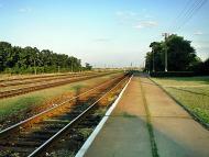 Копані з panoramio.com