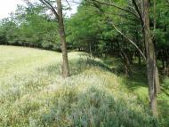 Княгинівка з panoramio.com