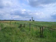 Алтинівка з panoramio.com