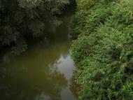 Луки з panoramio.com