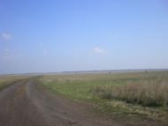 Левадки з panoramio.com