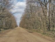 Бандурове з panoramio.com