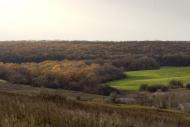 Геївка з panoramio.com - Геевка