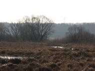 Попівка - Останні фото