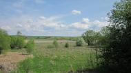 Зеленівка з panoramio.com