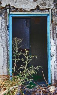 В'язівка з panoramio.com