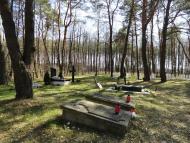 Грушівка з panoramio.com