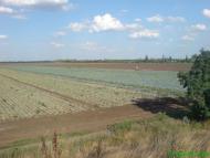 Полігон з panoramio.com