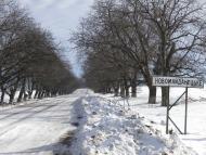 Майданецьке з panoramio.com - Maydanetske