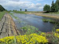 Самари-Оріхові з panoramio.com