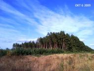Піски-Радьківські з panoramio.com