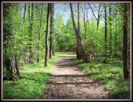 Скулин з panoramio.com