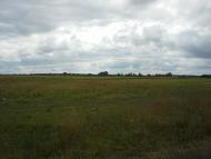 Сошники з panoramio.com