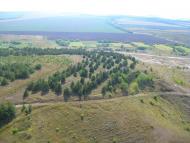 Городище з panoramio.com