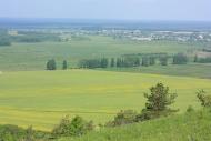 Підлисся з panoramio.com