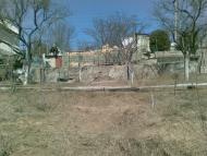 Хоминка з panoramio.com