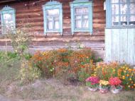 Білий Берег з panoramio.com