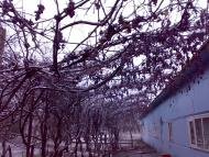 Молочанськ з panoramio.com