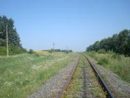 Тарасівка з panoramio.com