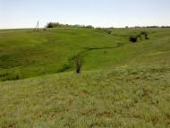 Широка Балка з panoramio.com