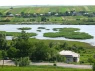 Пуків з panoramio.com