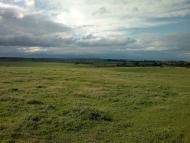 Ковиничі з panoramio.com