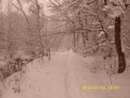 Нагірне з panoramio.com