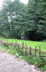 Осій з panoramio.com