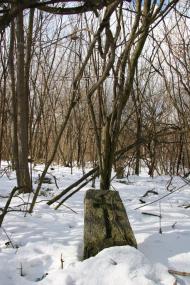 Дударі з panoramio.com