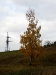 Загірське з panoramio.com