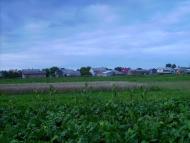 Волиця з panoramio.com