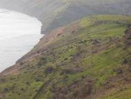 Яруга з panoramio.com