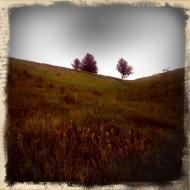 Мале з panoramio.com