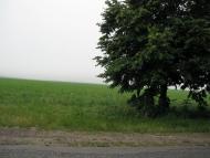 Ракова з panoramio.com