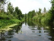 Пиротчине з panoramio.com