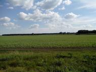 Єлизаветівка з panoramio.com