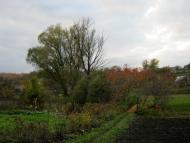 Загірське з panoramio.com