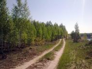 Тарасівка з panoramio.com