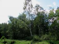 Рудка з panoramio.com