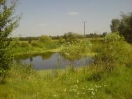 Єлівка з panoramio.com