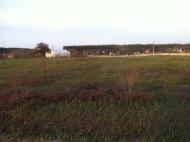 Мироцьке з panoramio.com