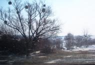 Ребедайлівка з panoramio.com