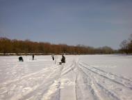 Купчичі з panoramio.com