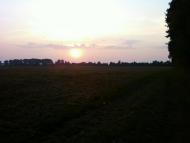 Рівнинне з panoramio.com