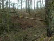 Собичеве з panoramio.com