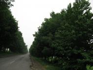 Ракова з panoramio.com