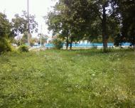 Ратуш з panoramio.com